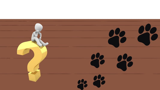 Quel-est-le-meilleur-outil-pour-laver-le-sol