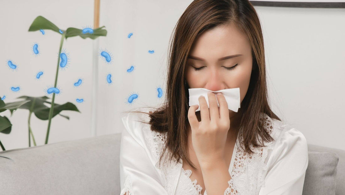 aspirateur-a-main-maison-sans-allergenes-sans-poussiere
