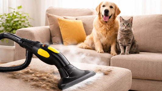Nettoyeur vapeur nettoyant un canapé avec des poils d’animaux visibles, chien et chat assis en arrière-plan dans un salon lumineux