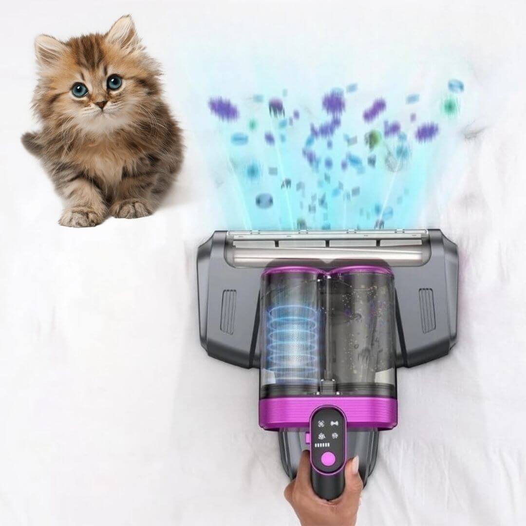 aspirateur a main poils chats animaux acariens