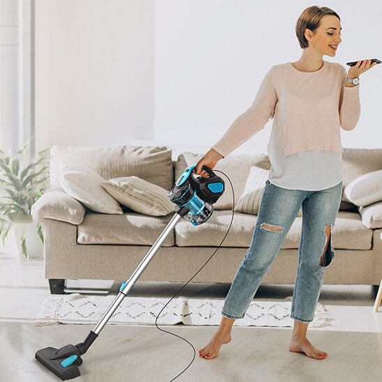 aspirateur a main puissant filtre hepa allergene pure