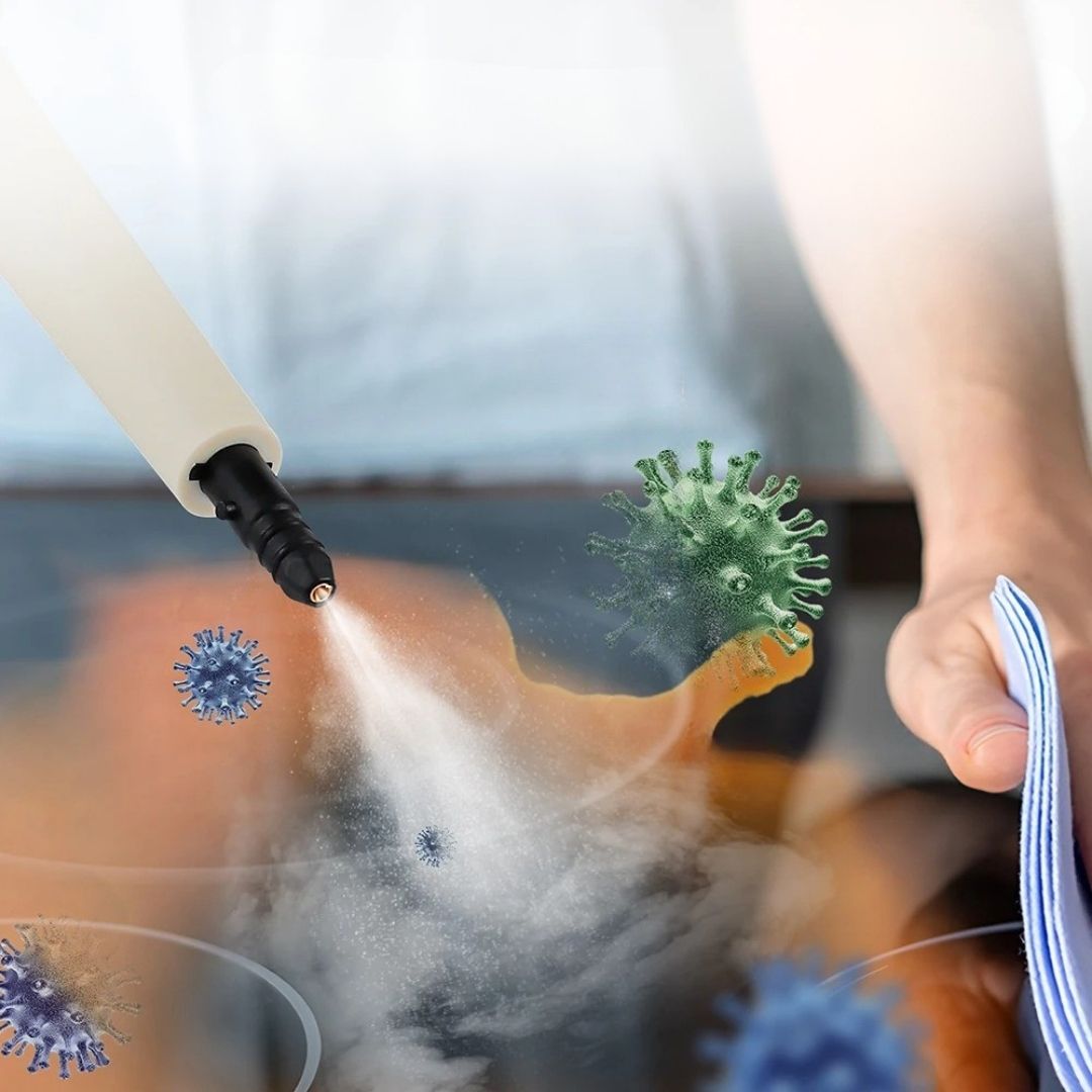 bacteries elimination nettoyeur vapeur a main sterilise maison