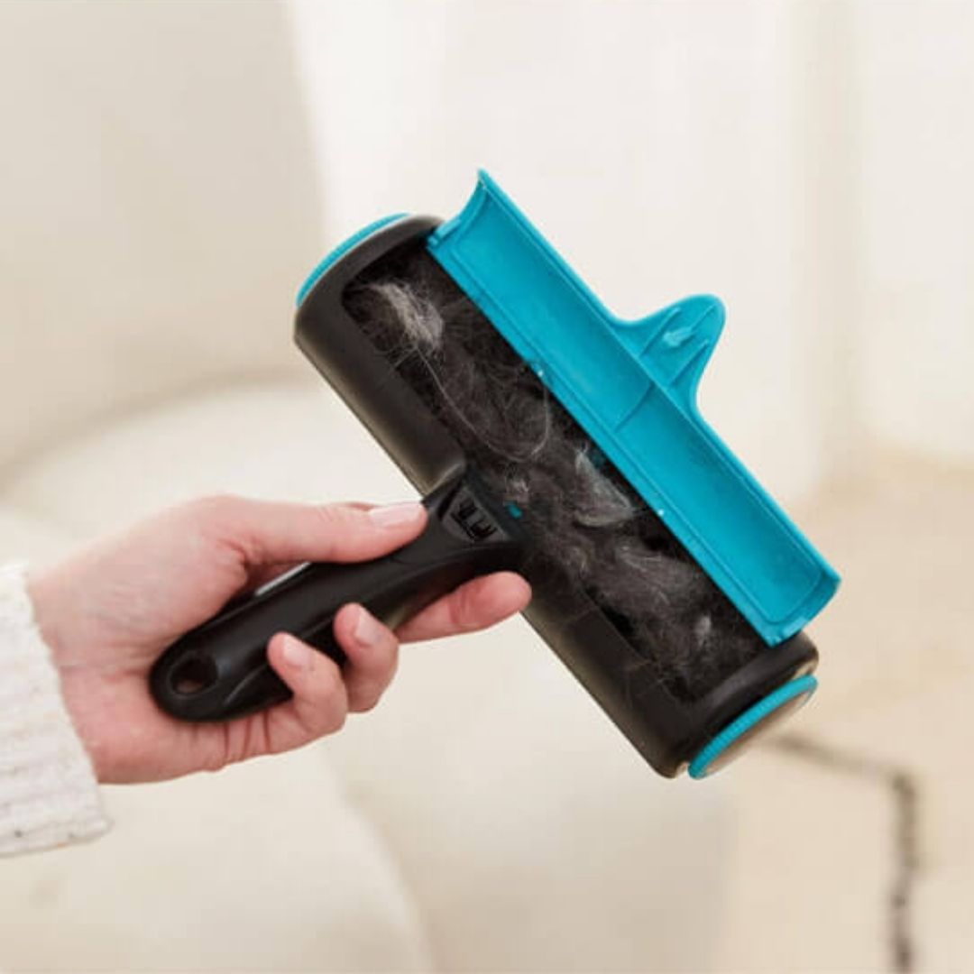 brosse anti poil bleu capture poil