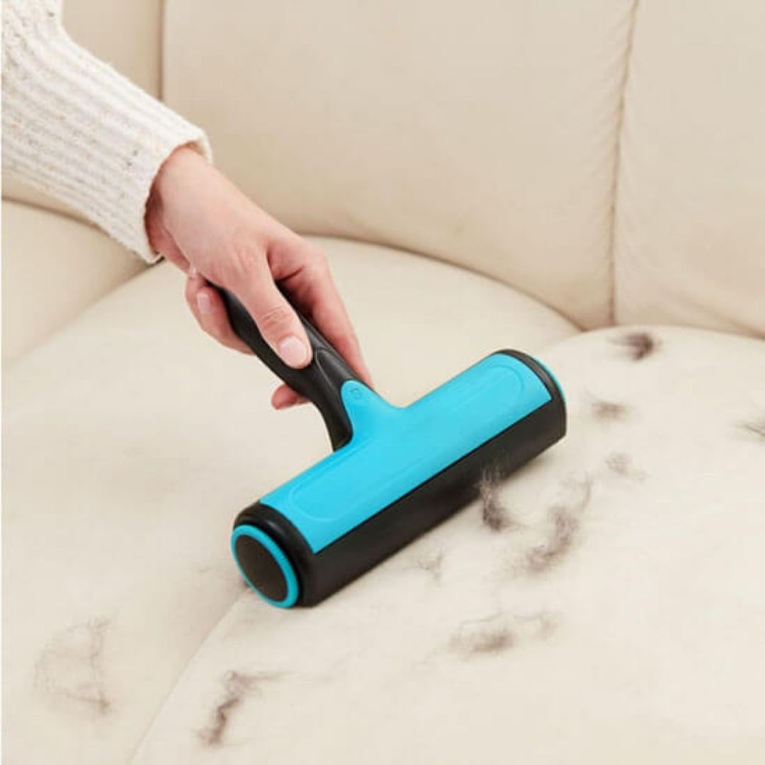 brosse anti poil turquoise elimination peluche