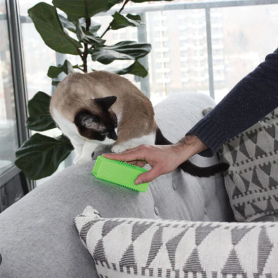 brosse anti poil verte salon animaux