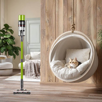 fonction portante aspirateur a main vert salon tapis chat