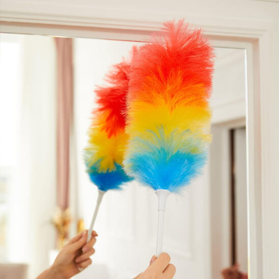 plumeau nettoyage poussiere