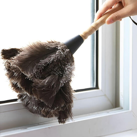 plumeau pour poussiere bois manche fenetre