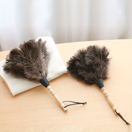 plumeau pour poussiere durable