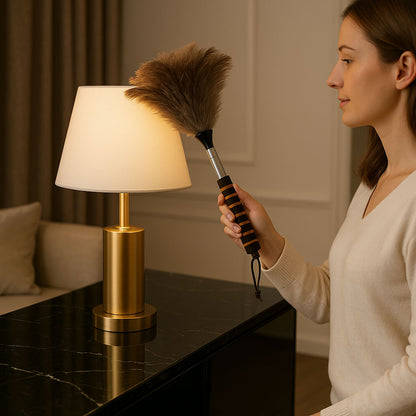 plumeau pour poussiere femme nettoie abat jour lampe