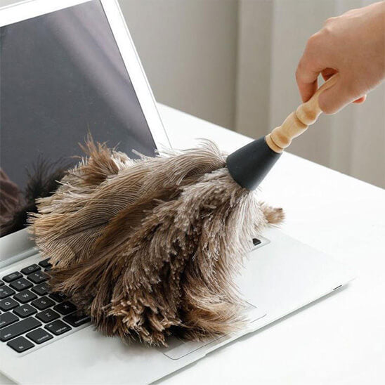 plumeau pour poussiere plume passe touche ordi