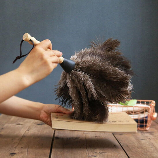 plumeau pour poussiere plumes nature